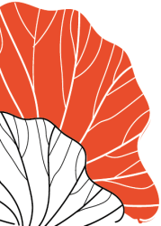 Vector Smart Object